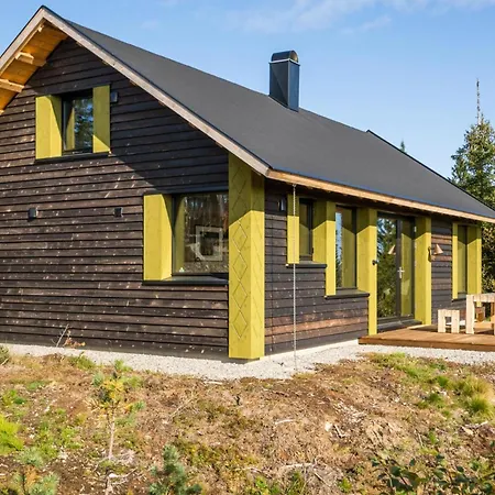Rogna - Nordlys & Ski - Baerekraftig - 60 Min Osl Guest house