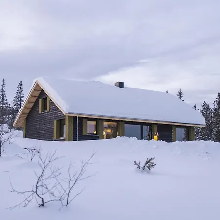 Guest house Rogna - Nordlys & Ski - Baerekraftig - 60 Min Osl 4*