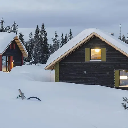 Rogna - Nordlys & Ski - Baerekraftig - 60 Min Osl Guest house