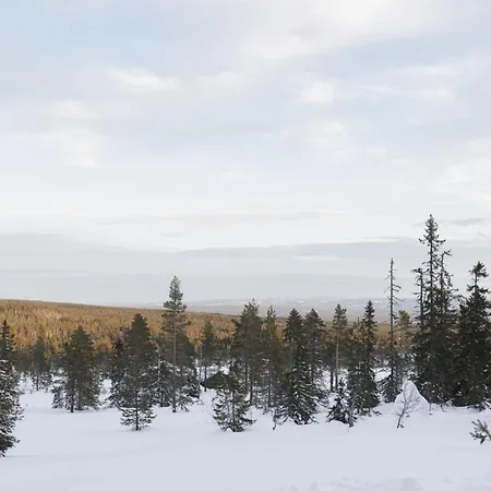 Guest house Rogna - Nordlys & Ski - Baerekraftig - 60 Min Osl