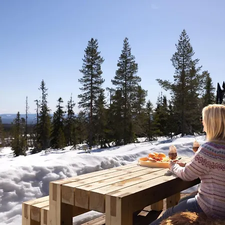 Guest house Rogna - Nordlys & Ski - Baerekraftig - 60 Min Osl 4*