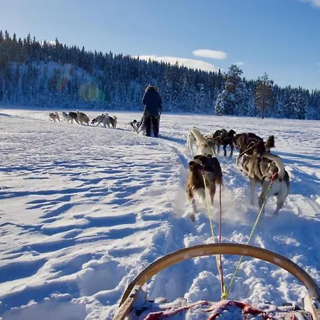 Guest house Rogna - Nordlys & Ski - Baerekraftig - 60 Min Osl 4*
